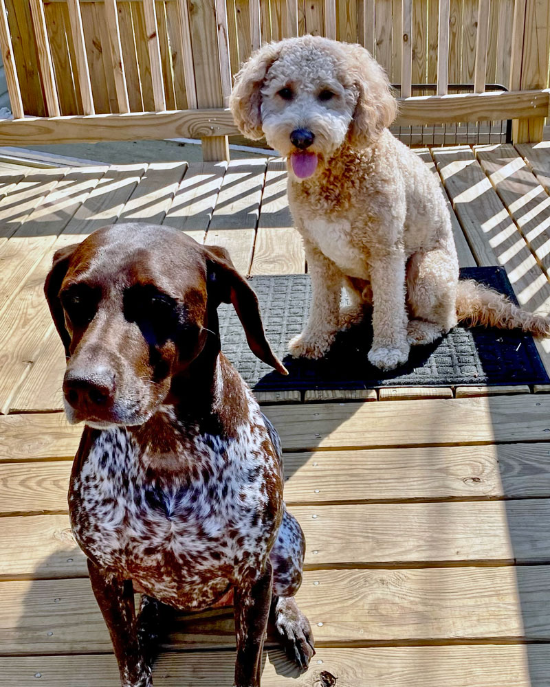 Bella and Winstron